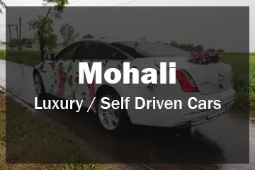 Luxury Car Rentals in Mohali